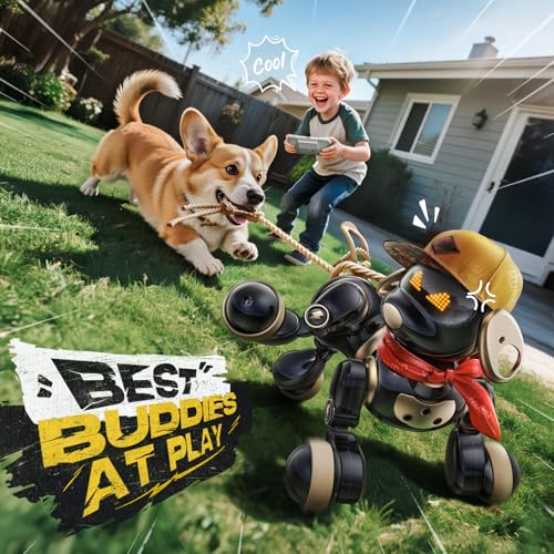Remote Control Robot Dog Toy