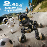 Remote Control Robot Dog Toy