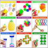 Sensory Fidget Toy Set – 76 Pieces