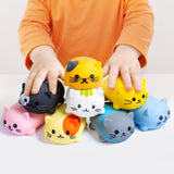 Musical Cat Piano Keyboard Set – 8 Pieces
