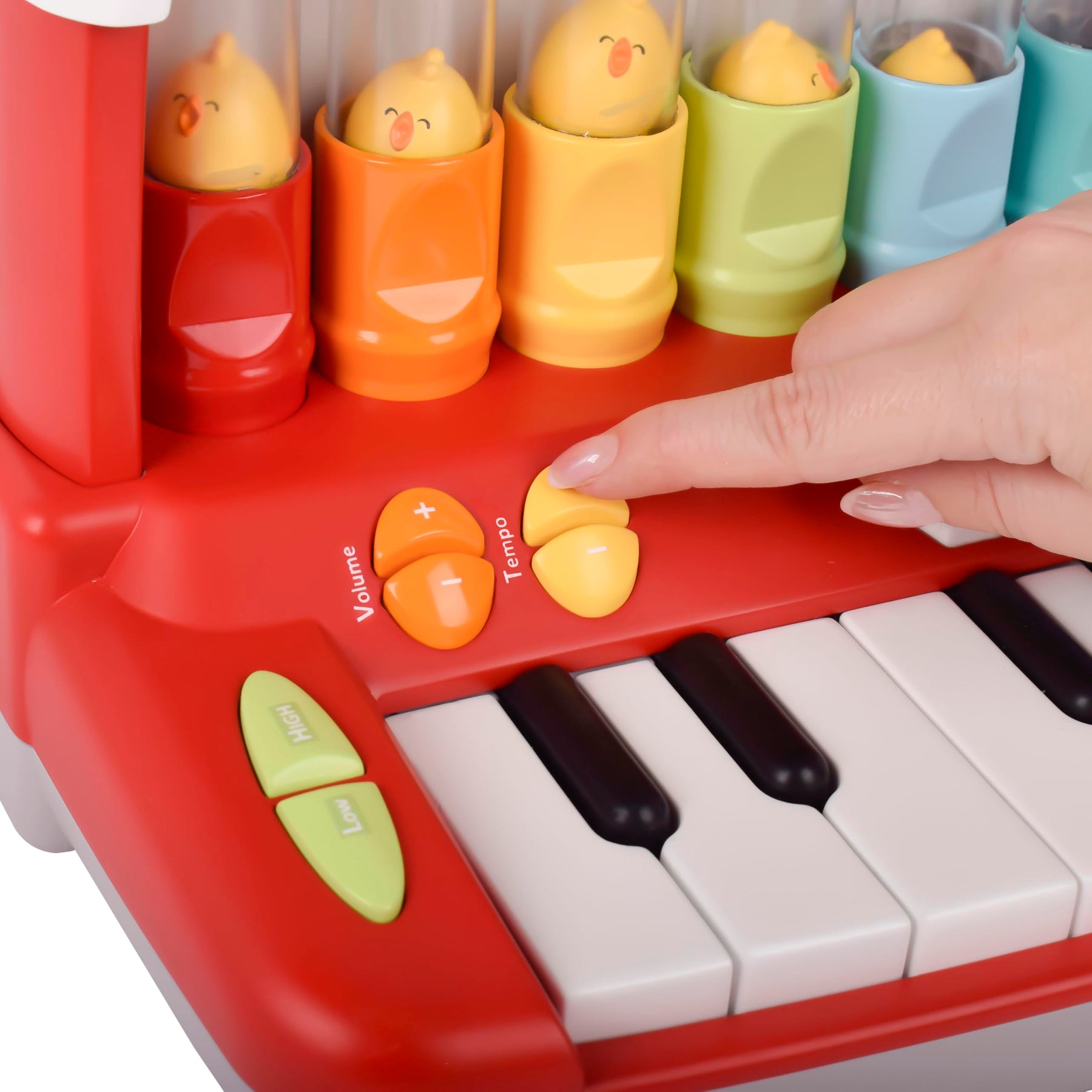 Farm Animal Learning Keyboard with Lights & Sounds
