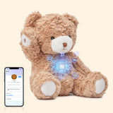 AI Talking Teddy Bear Plush Toy