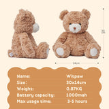 AI Talking Teddy Bear Plush Toy
