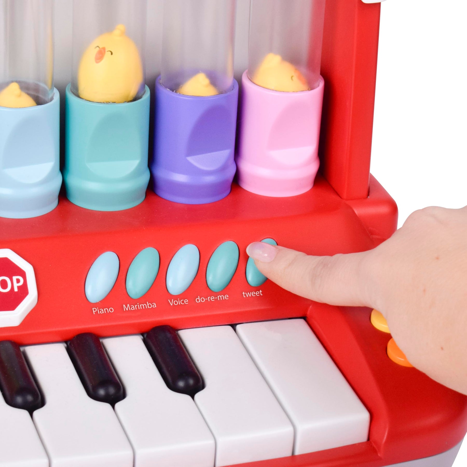 Farm Animal Learning Keyboard with Lights & Sounds